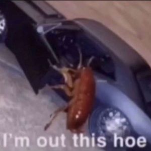 Meet your Posher, Andre